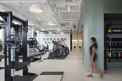 Lincoln Yards Life Sciences Center gym, interior lighting